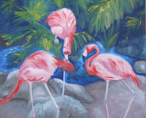 Flamingos                        